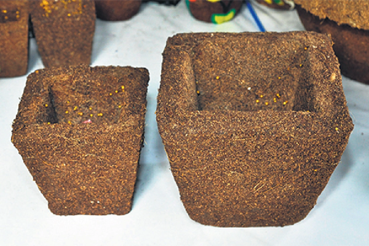 เสกขี้เลื่อยเป็นกระถางปุ๋ยรักษ์โลก