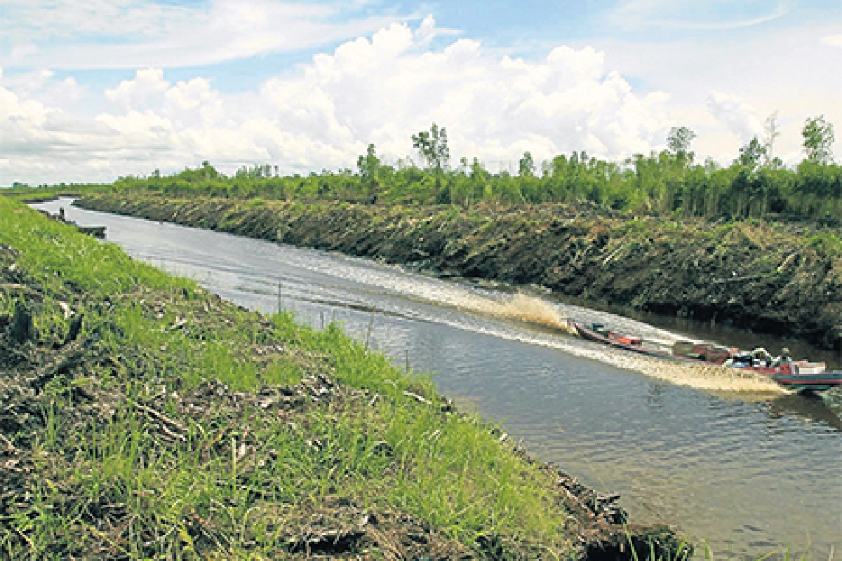 ลำประโดงใครว่าไม่สำคัญ?