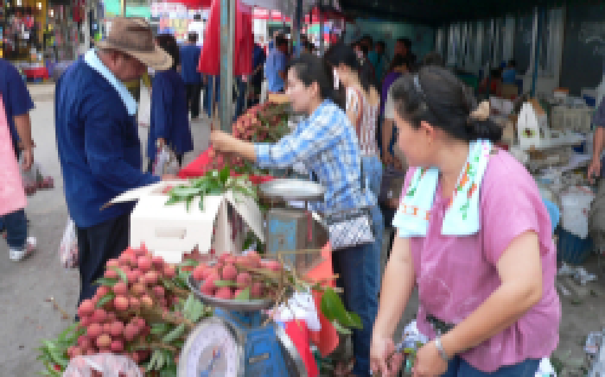 เหนือลิ้นจี่ล้นตลาดฉุดราคาตกต่ำ