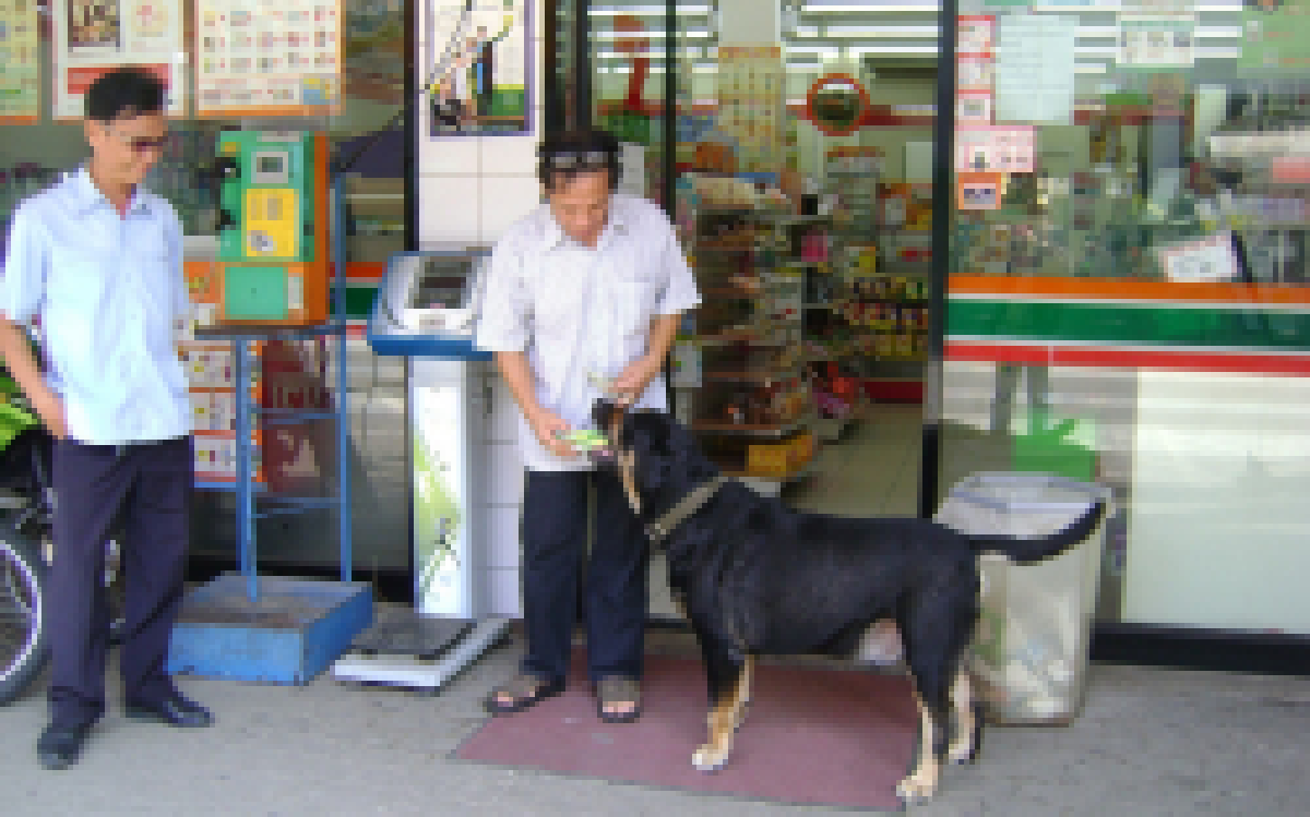 ทึ่ง!สุนัขแสนรู้คาบเงินซื้อขนมทุกวัน