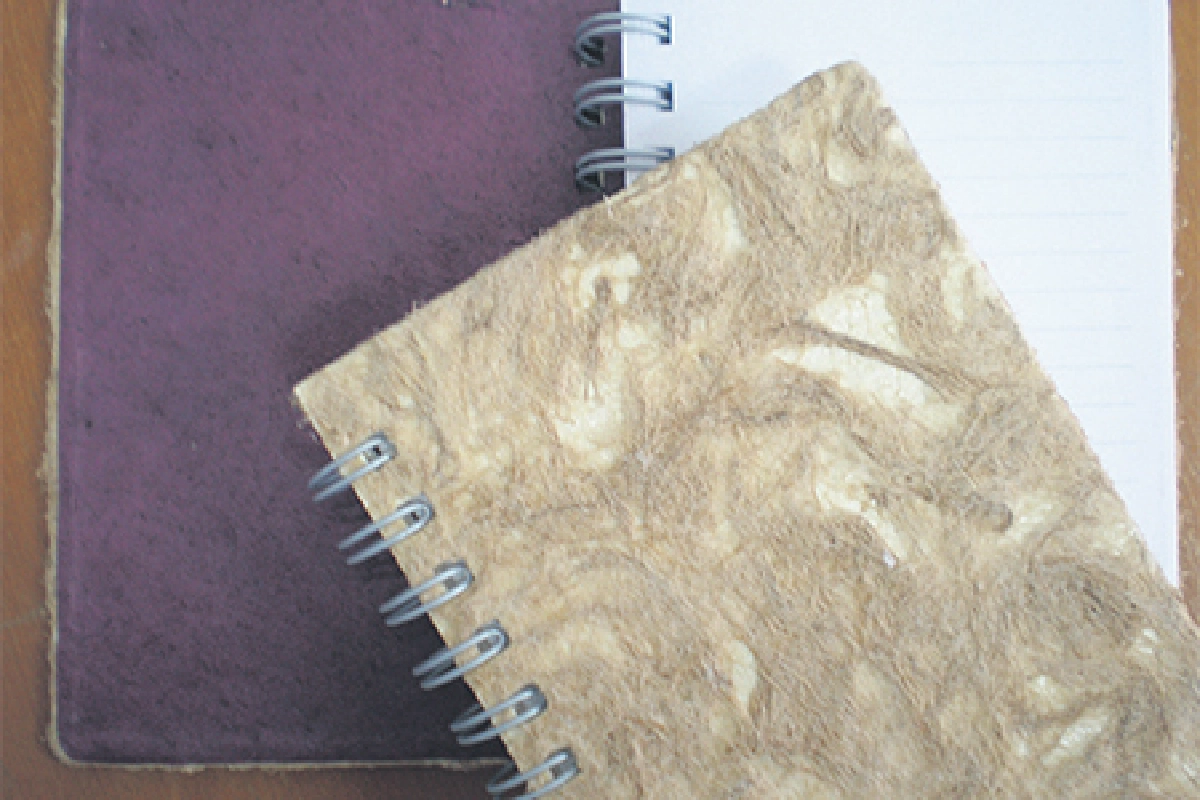 เกิดเป็นผักตบ จบที่กระดาษ