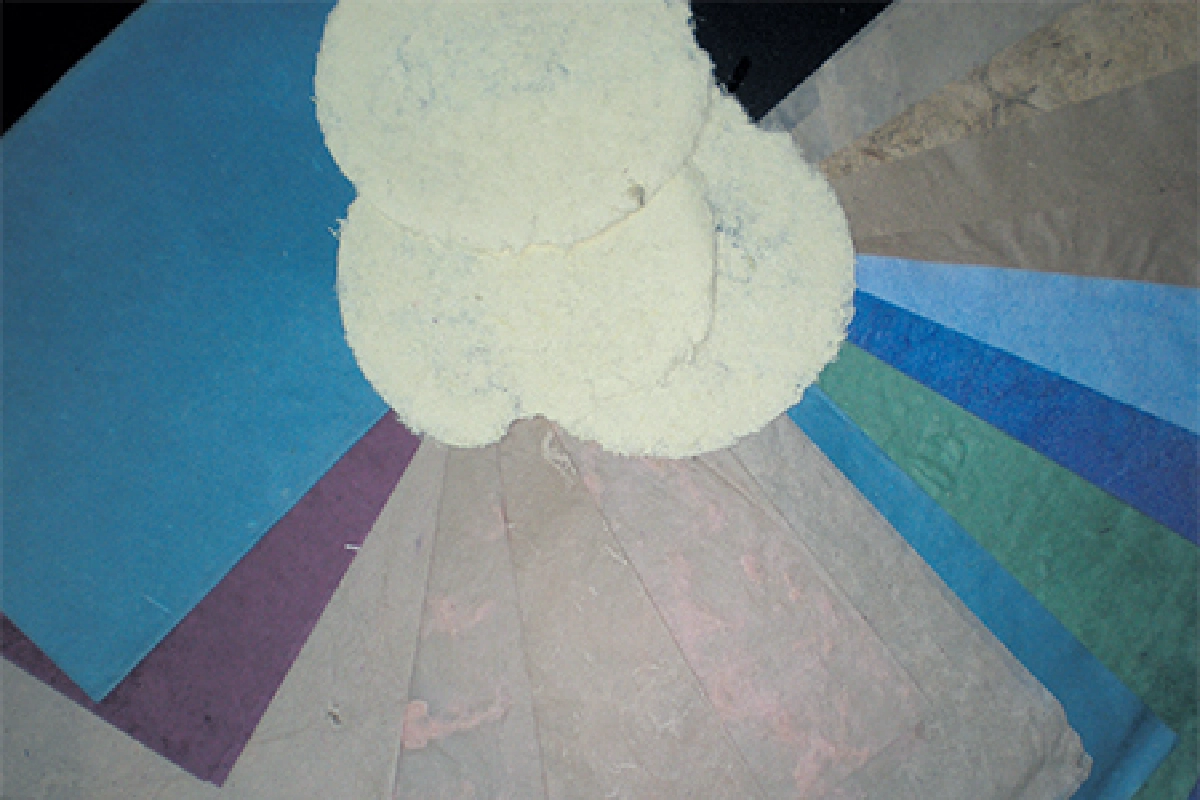 เกิดเป็นผักตบ จบที่กระดาษ