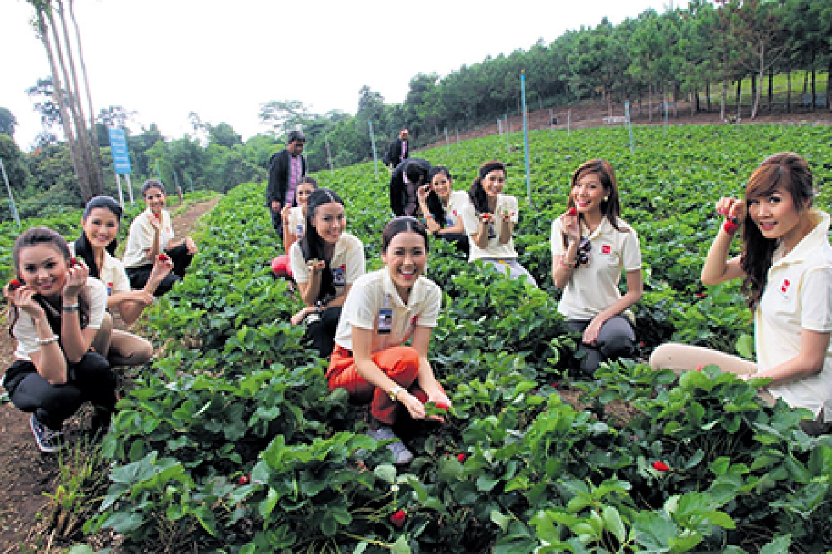 ขอ 3 คำ ‘งามอย่างไทย’ มิสยูนิเวิร์สไทยแลนด์ 2012