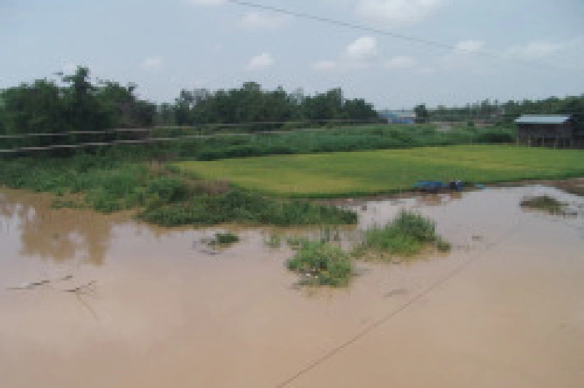 ชาวนาโวยโครงการบางระกำทำน้ำท่วม