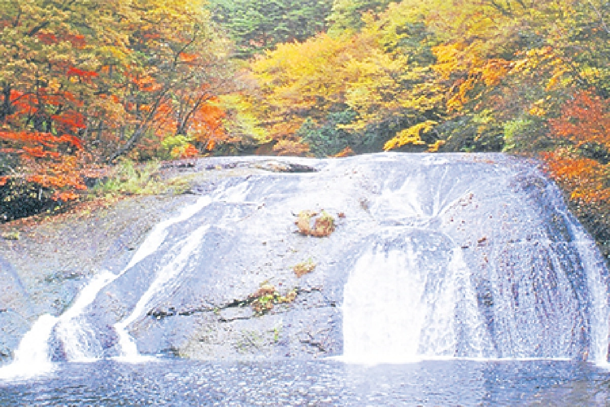 ‘อิวาเตะ’ชั่วยาม