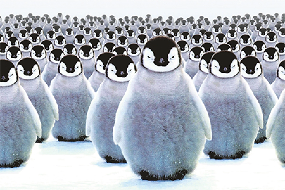 เปิดโปงด้านมืดสัตว์โลกแสนรัก 'เราหื่นกว่าที่คุณคิด!'