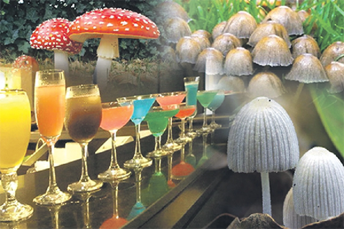 'เหล้าปั่นเห็ด'เมนูมรณะ ของแสลงนักท่องเที่ยว