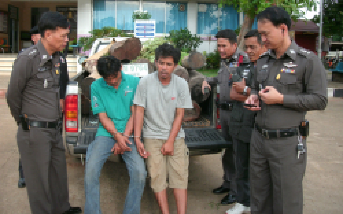 ยึดไม้พะยูง 17 ท่อนมูลค่าส่งออกนับล้าน