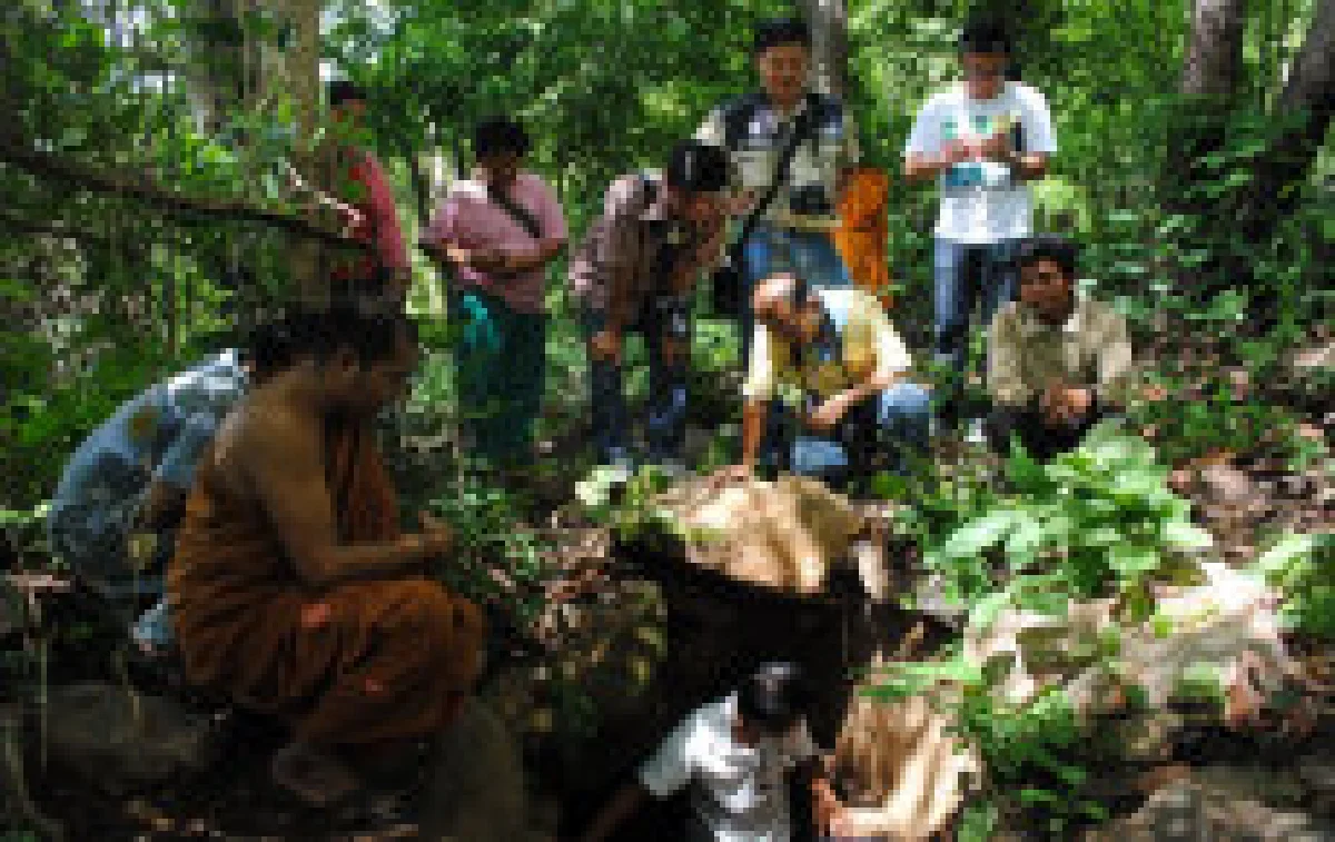 ขุดเจอกรุพระโบราณกลาง7วัดร้าง