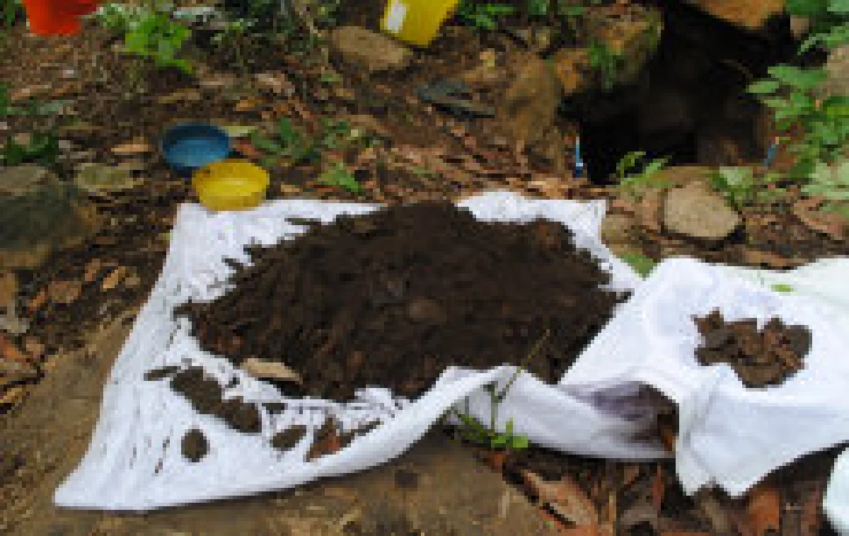 ขุดเจอกรุพระโบราณกลาง7วัดร้าง