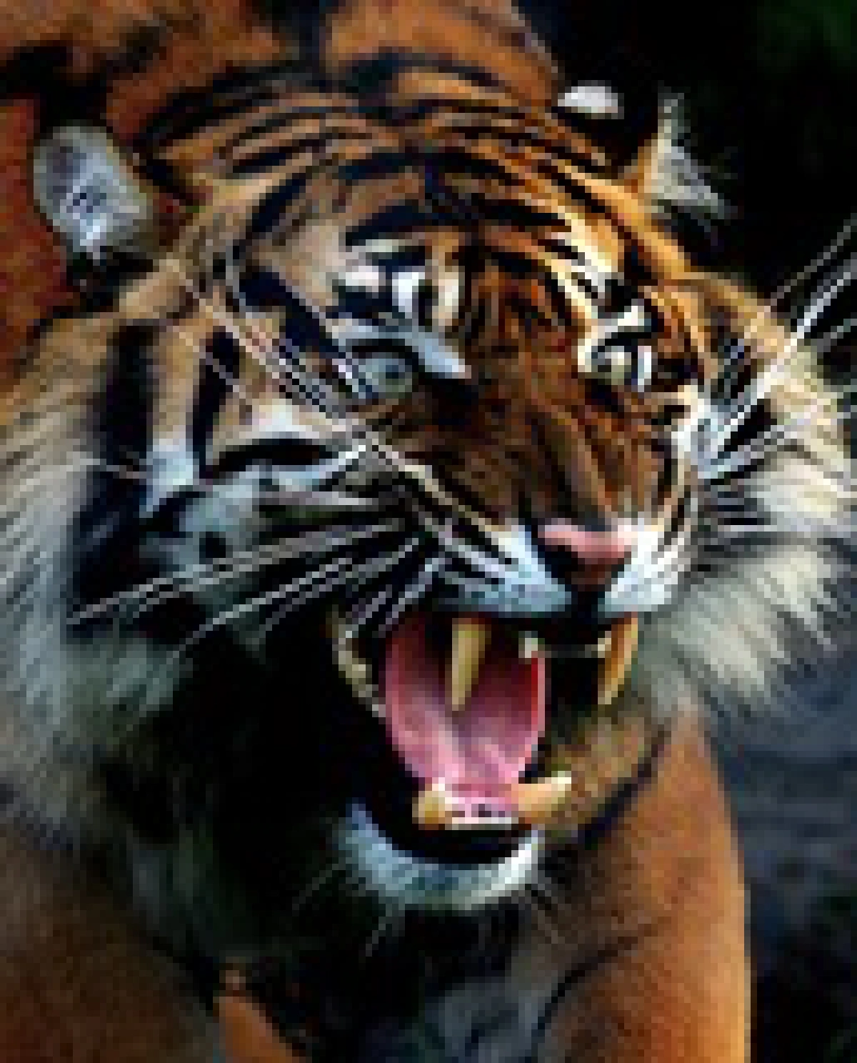 ferocious