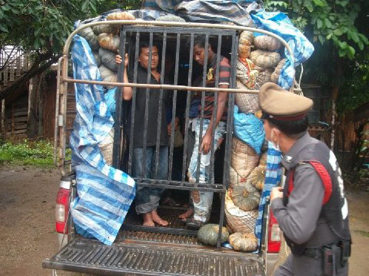Cheating poor foreign workers