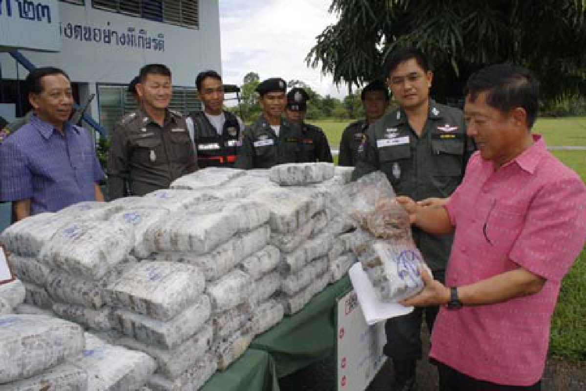 นครพนมยึดกัญชากว่า200กก. นครพนมยึดกัญชากว่า200กก.