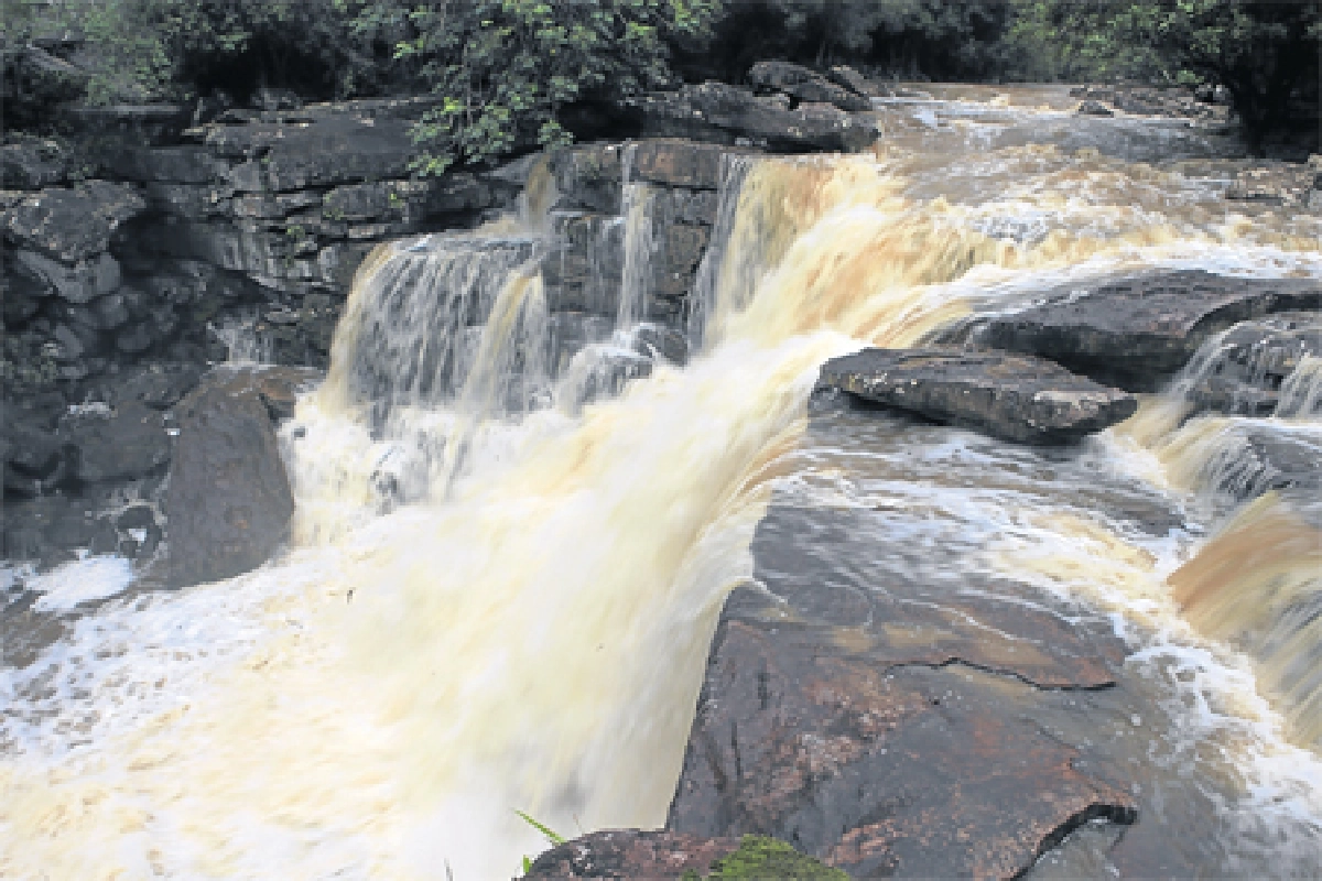 โบโก:เกนติงกัมพูชา