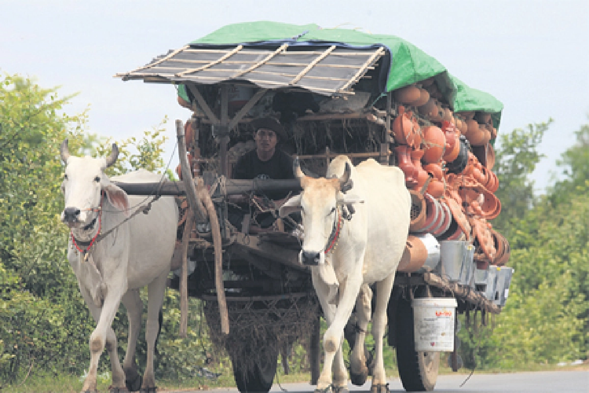 โบโก:เกนติงกัมพูชา