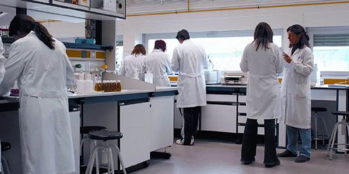 Exams for professional standards in sciences