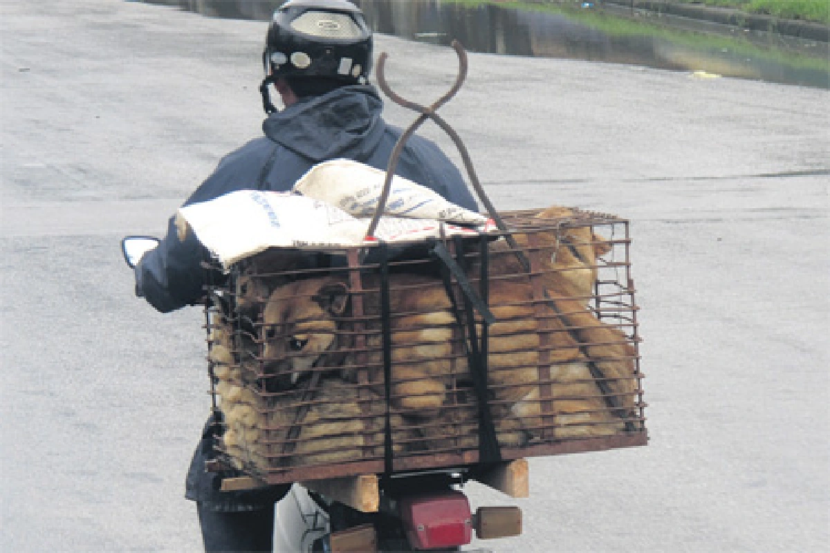 เมนูจานเด็ด