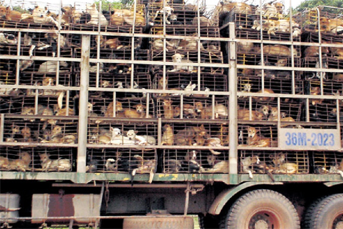 เมนูจานเด็ด