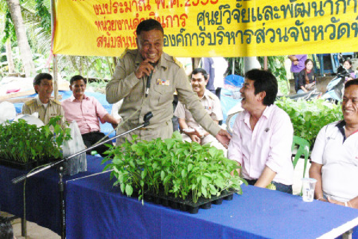 พิจิตรแจกผัก9ล้านต้นถวายวันแม่ พิจิตรแจกผัก9ล้านต้นถวายวันแม่