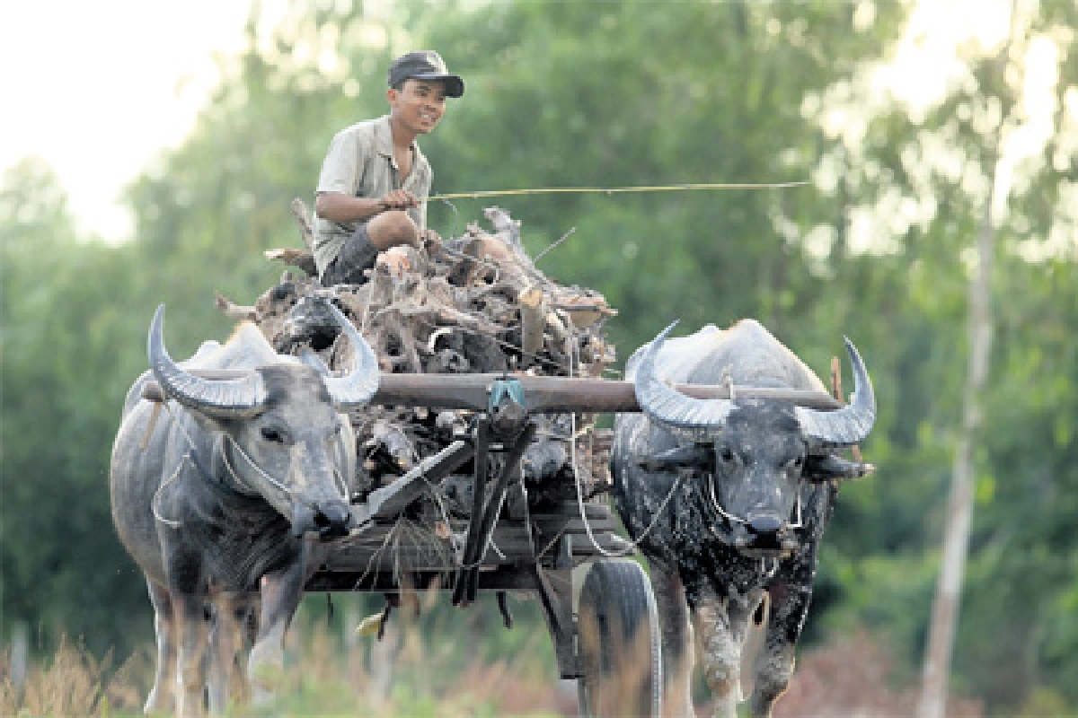 กัมพูชาก่อนเออีซี
