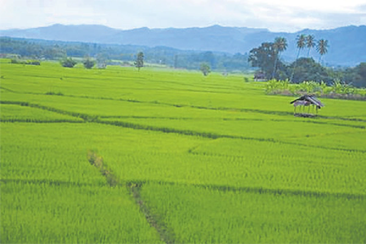 มนุษย์ยุคหิน