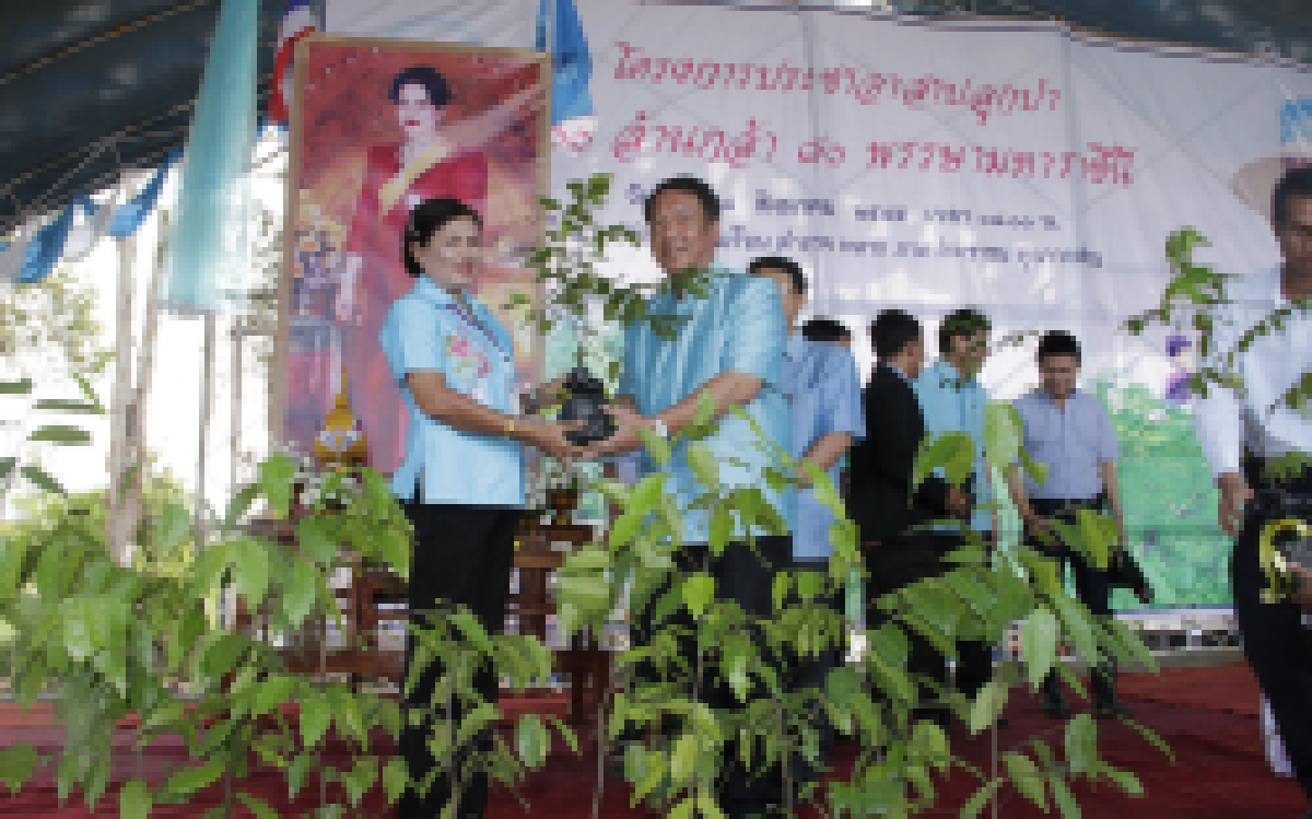 ปลูกป่า800ล้านกล้า80พรรษาพระราชินี