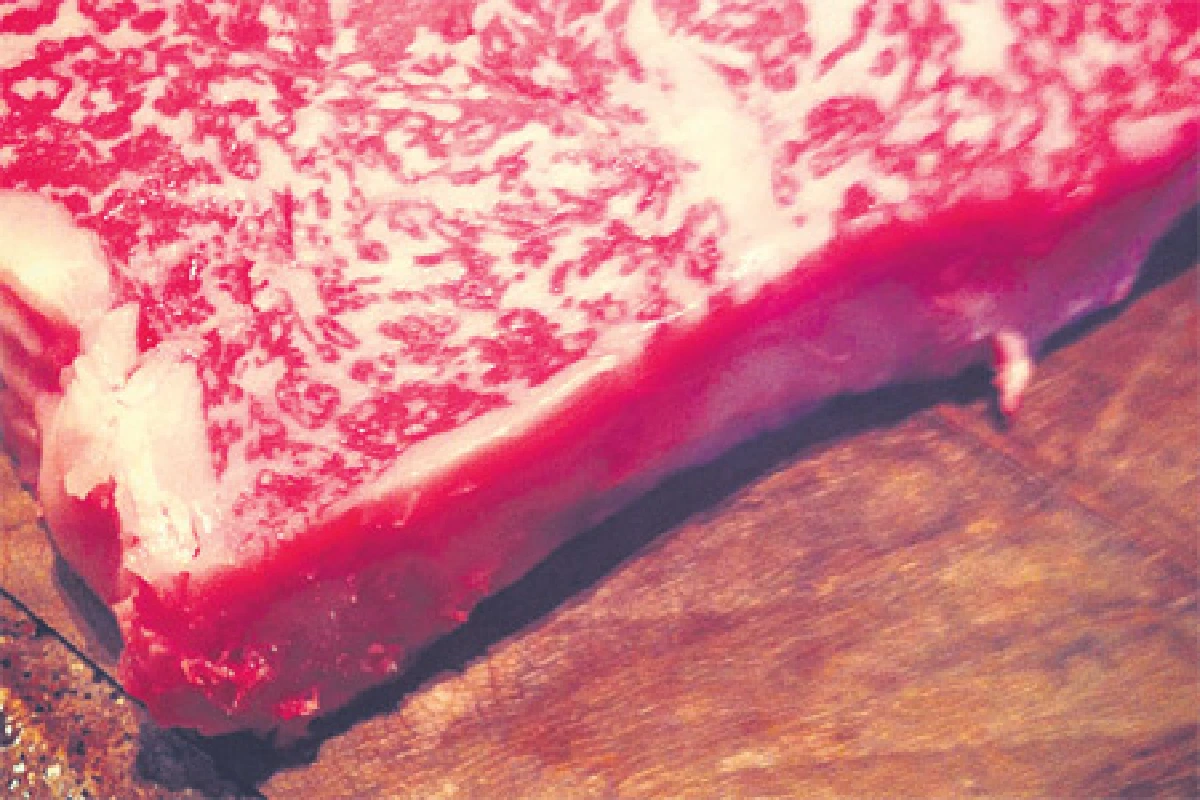 เนื้อๆ เน้นๆ ชิ้นเด่น จานเด็ด