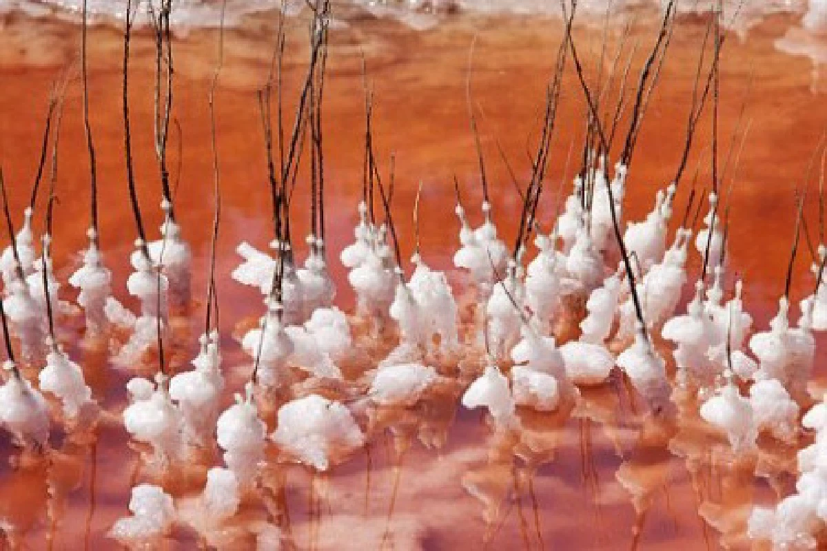 เผยภาพทะเลสาบสีเลือดในฝรั่งเศส