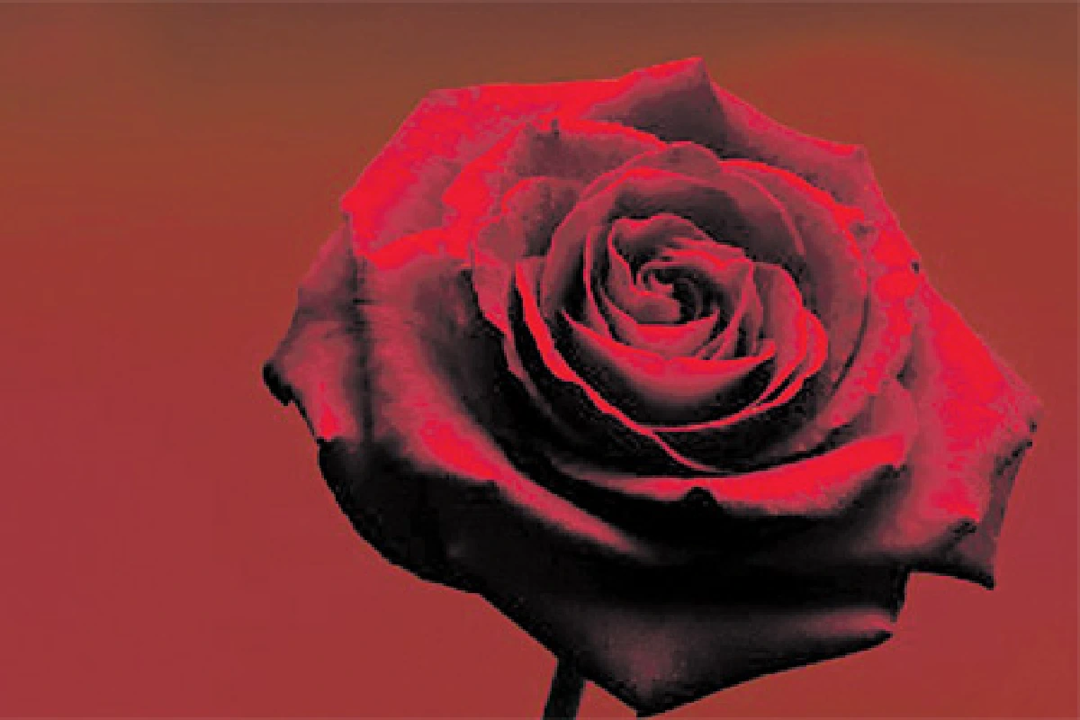 ของ 5 อย่างที่ไม่ควรให้เป็นของขวัญ