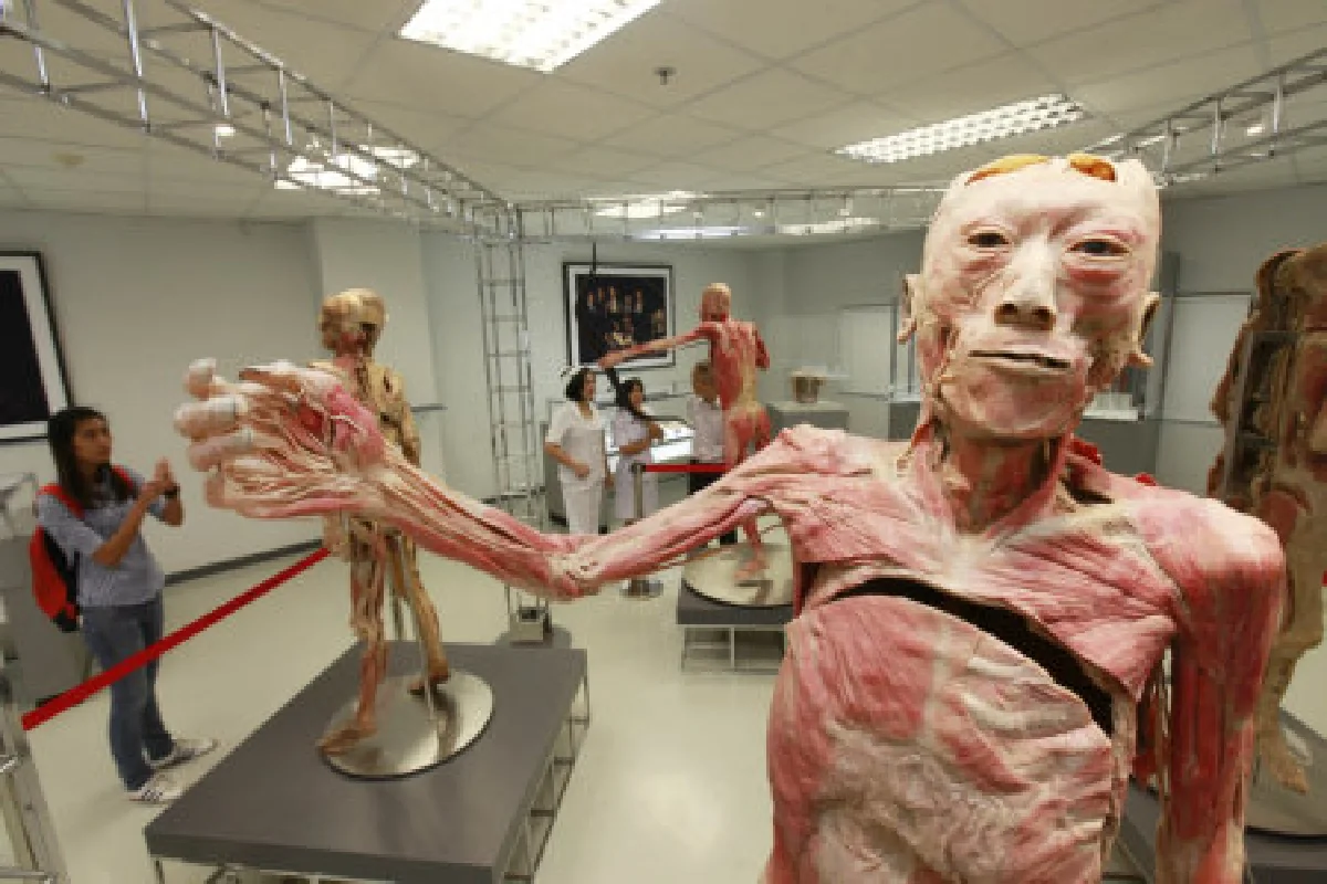 ไทยเปิดพิพิธภัณฑ์มนุษย์แห่งแรกในอาเซียน