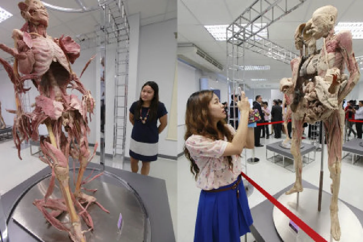 ไทยเปิดพิพิธภัณฑ์มนุษย์แห่งแรกในอาเซียน