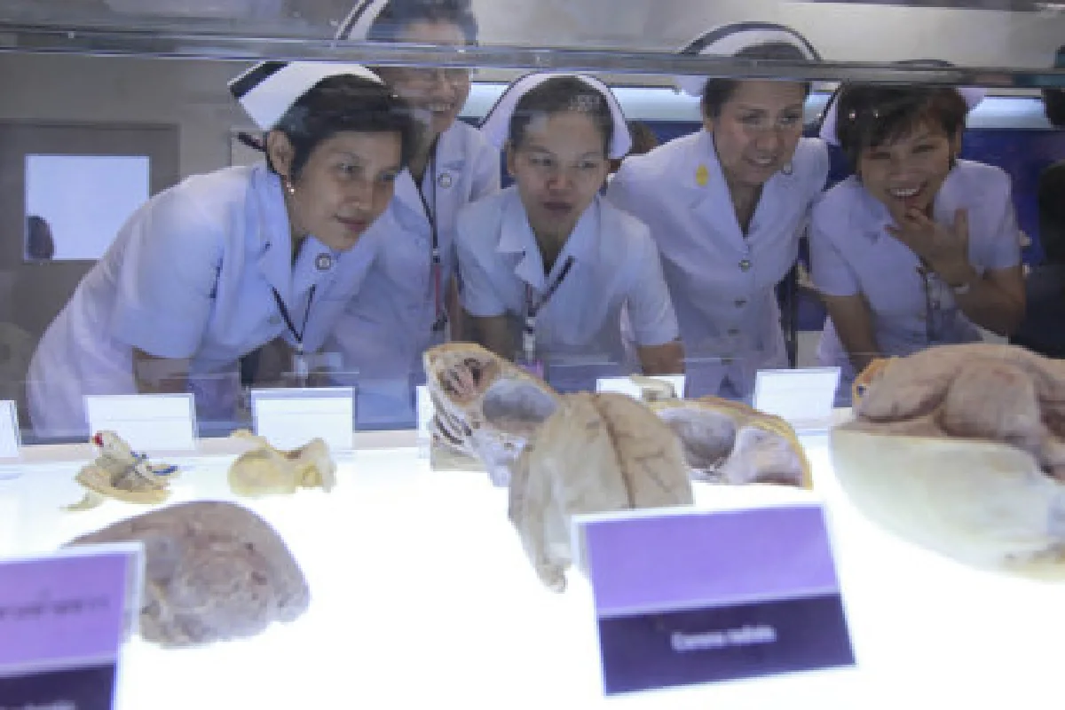 ไทยเปิดพิพิธภัณฑ์มนุษย์แห่งแรกในอาเซียน