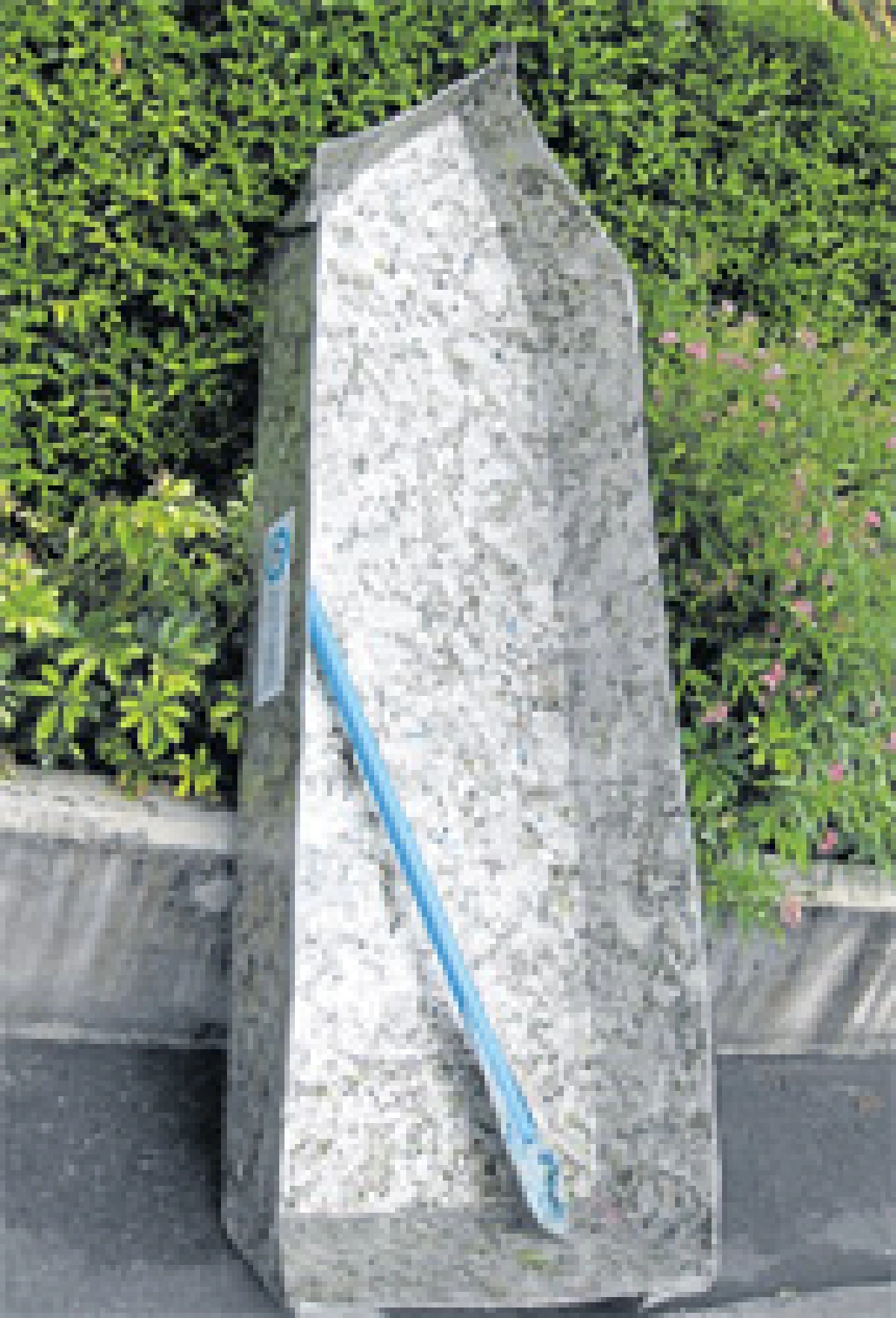 อีโคโบต เรือกล่องนมไม่จมน้ำ