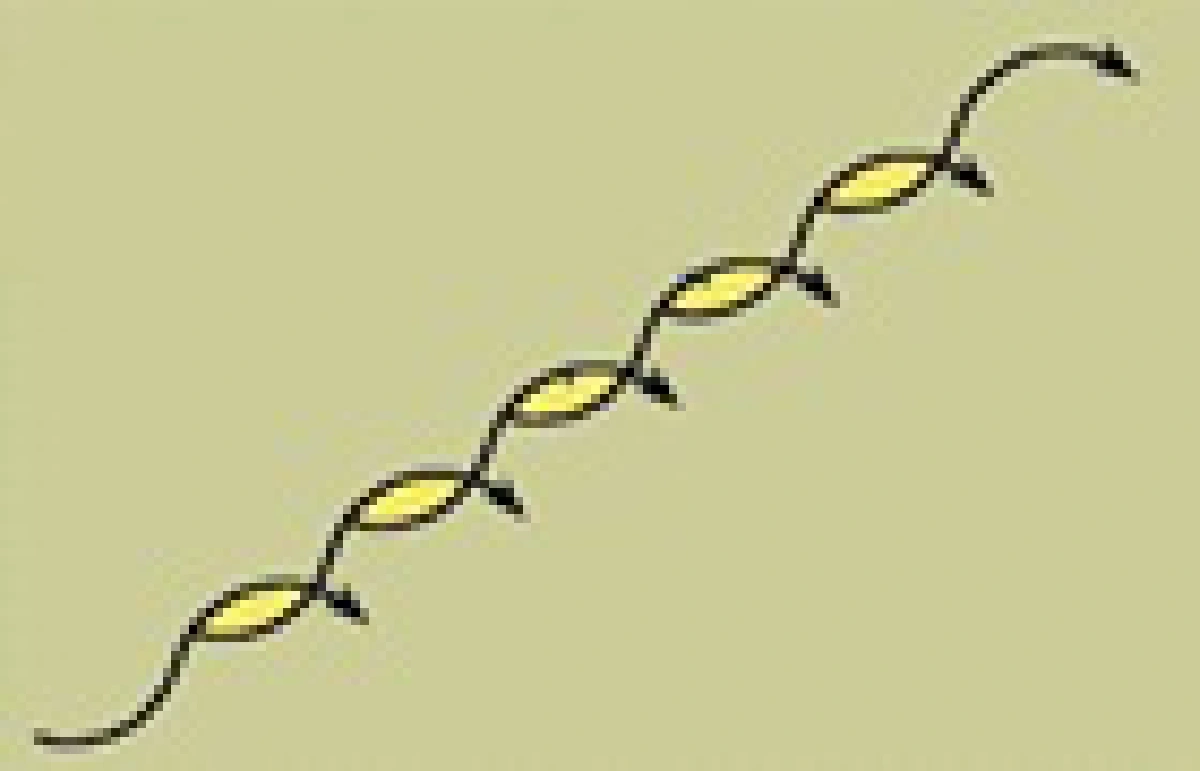 successive