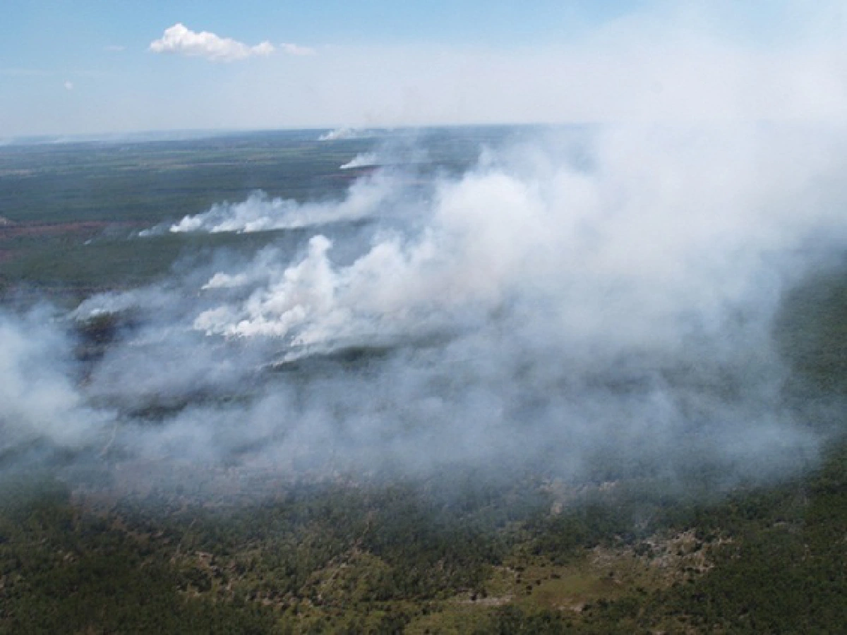 Massive effort to douse forest fires sees progress