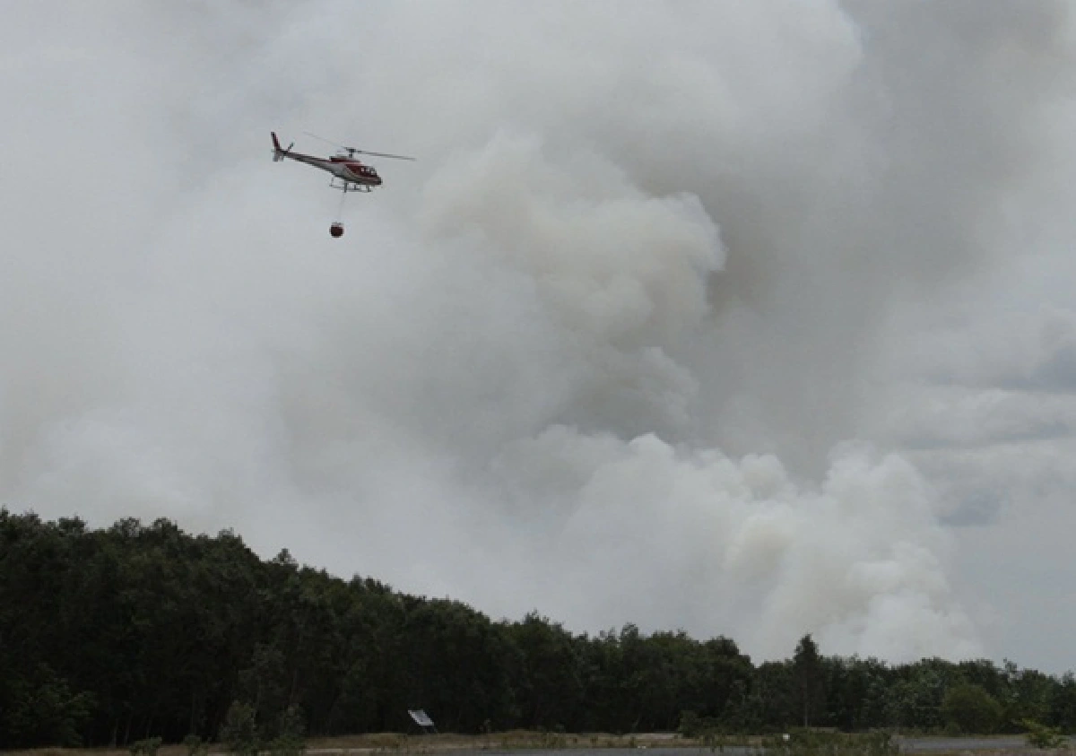 Massive effort to douse forest fires sees progress