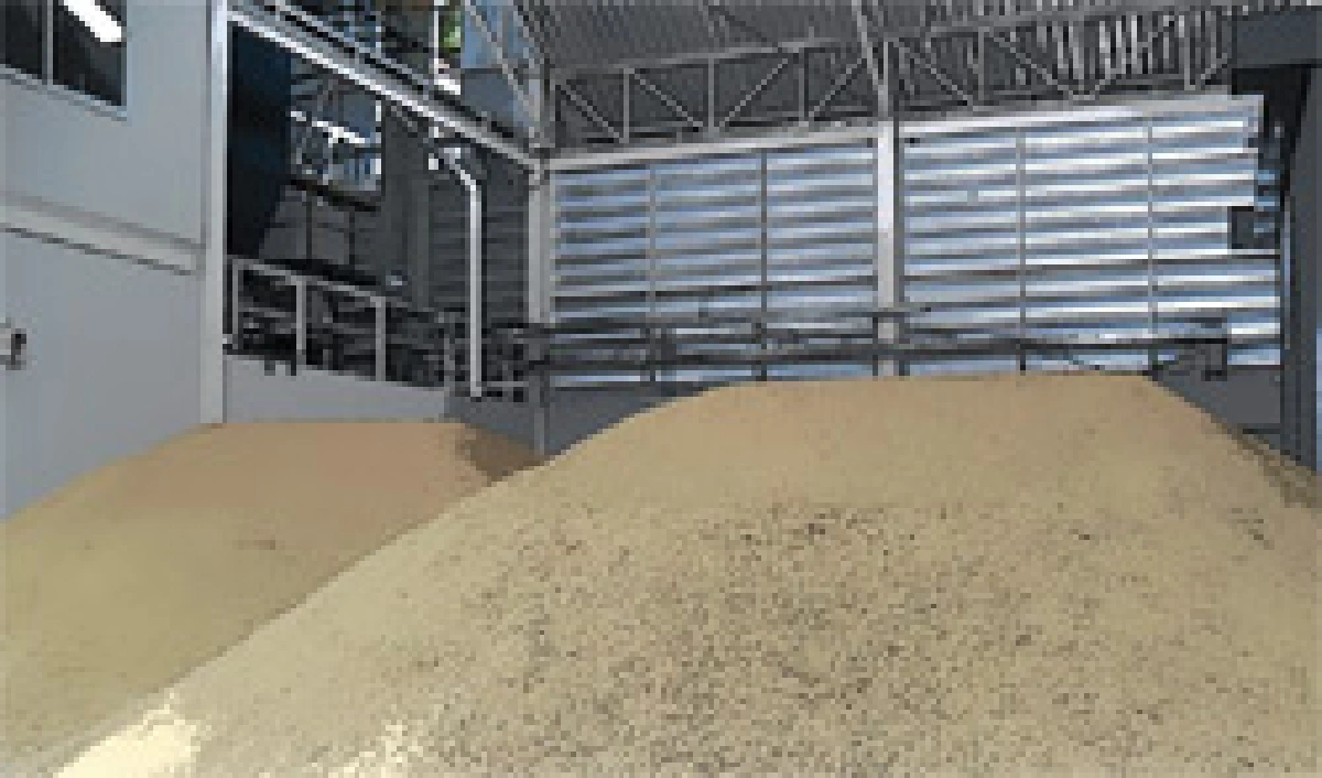 หวั่นไม่มีโกดัง เก็บข้าวจำนำรอบใหม่