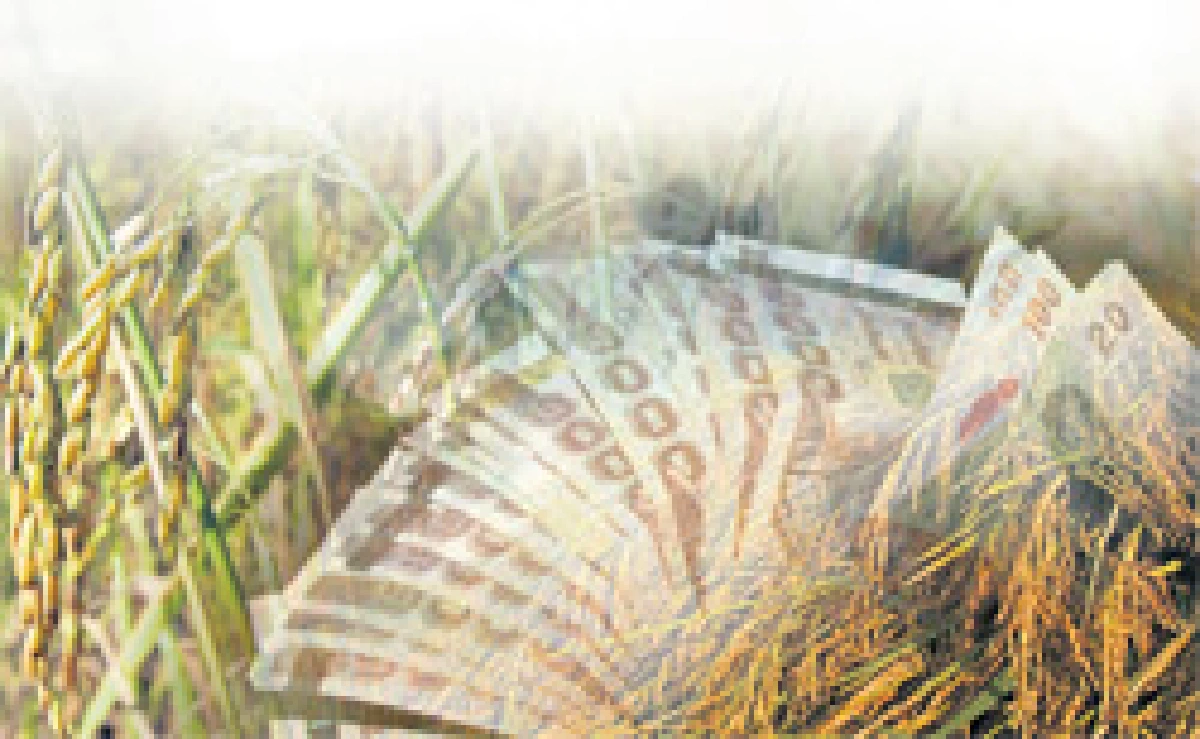 เงินกู้ข้าวฉาว สยามอินดิก้า