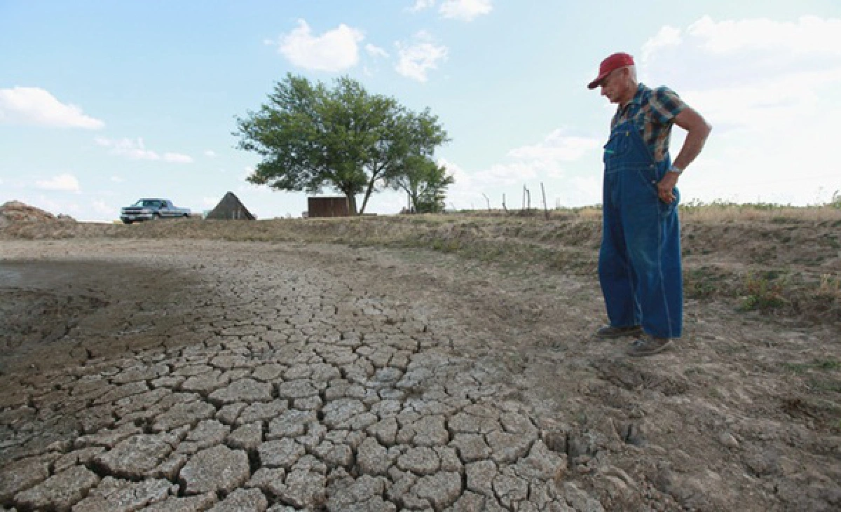 Call for world to brace for expensive food