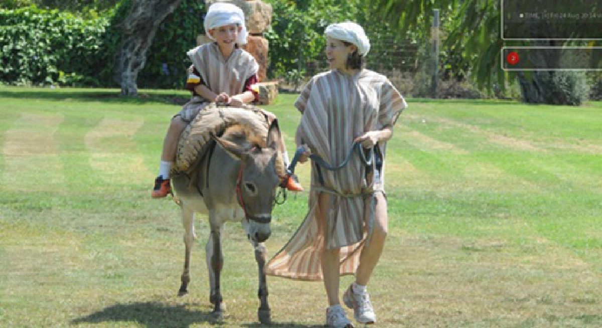 Learn Thai: Donkey wifi