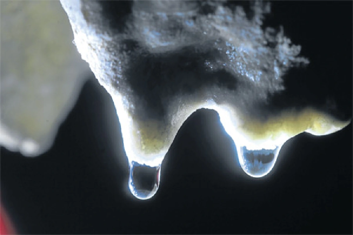 จากอุทัยฯถึงบึงกาฬ