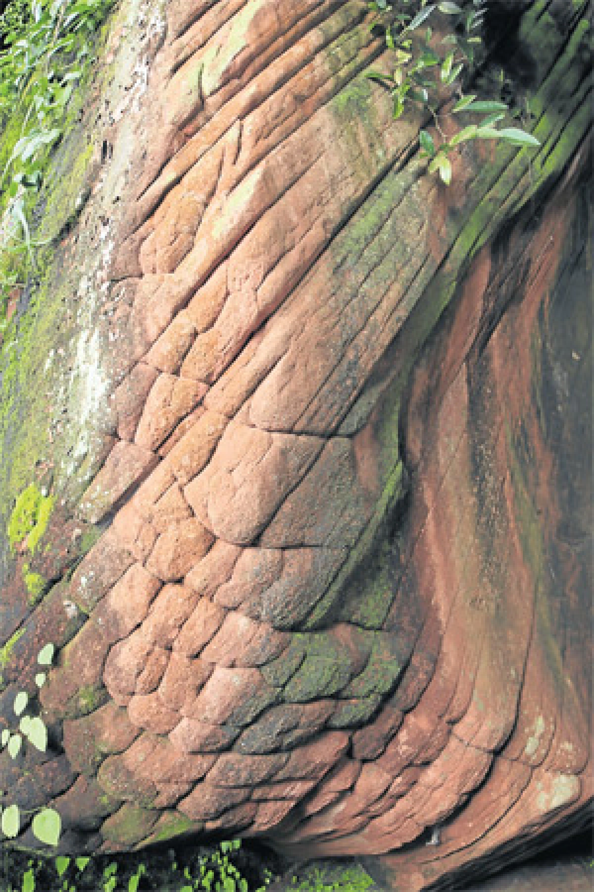 จากอุทัยฯถึงบึงกาฬ