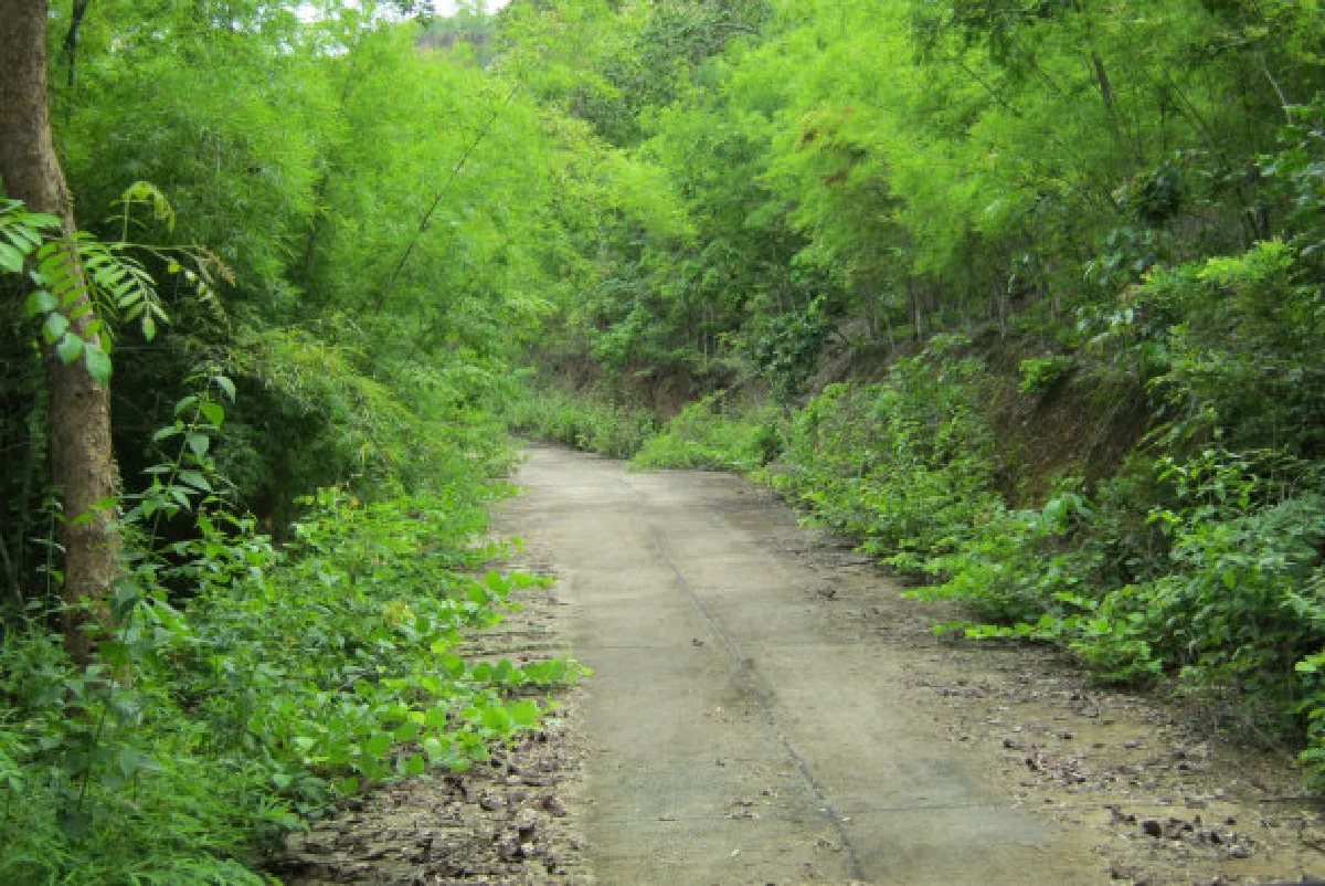 มหัศจรรย์เมืองไทย ตอนหายใจให้เต็มปอด ที่น้ำตกห้วยแม่ขมิ้น