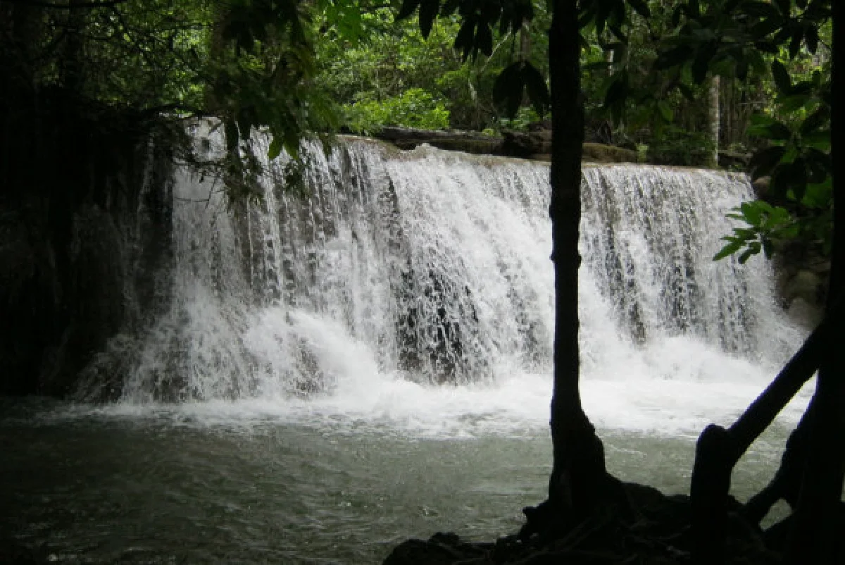 มหัศจรรย์เมืองไทย ตอนหายใจให้เต็มปอด ที่น้ำตกห้วยแม่ขมิ้น