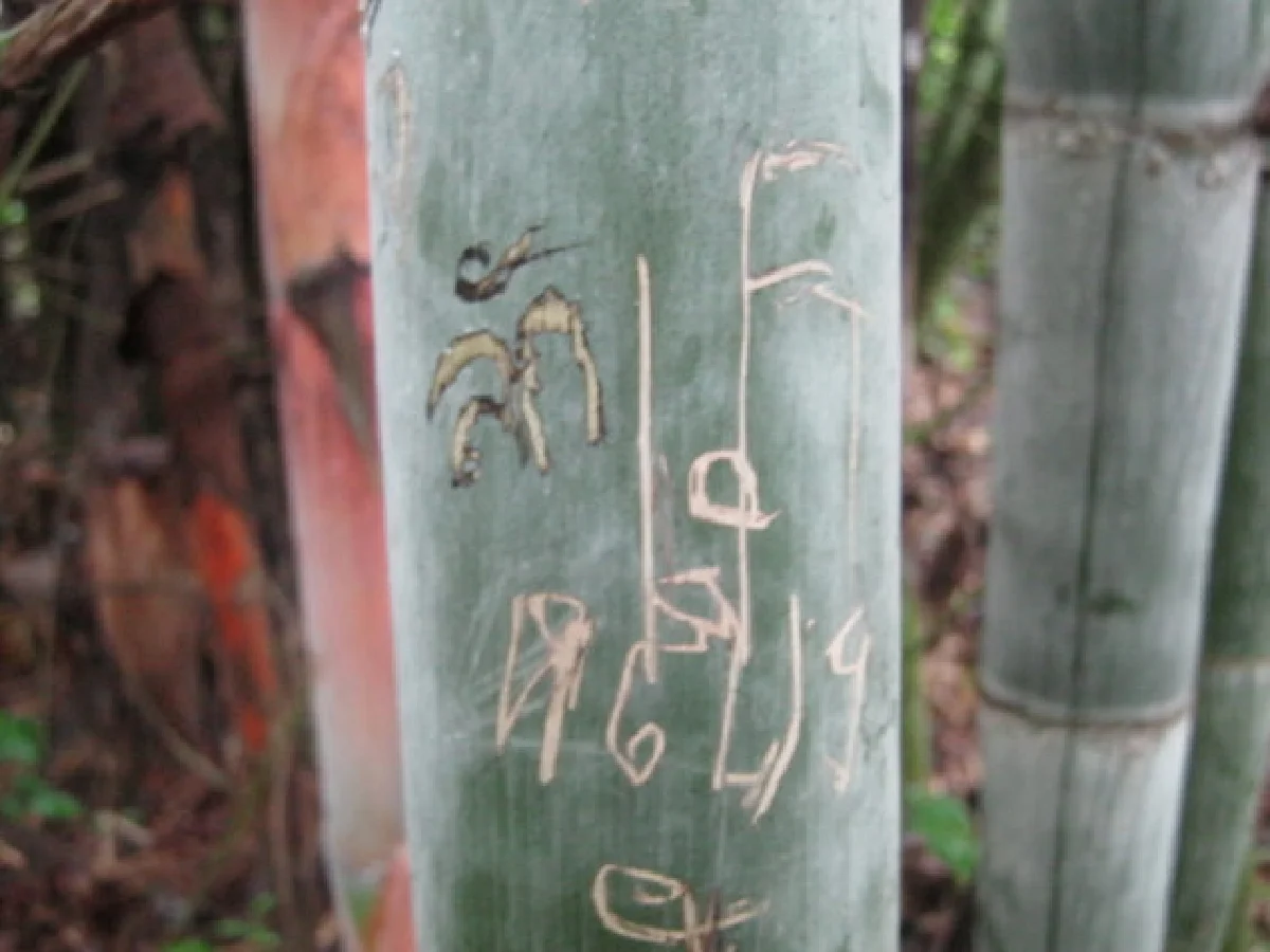 มหัศจรรย์เมืองไทย ตอนหายใจให้เต็มปอด ที่น้ำตกห้วยแม่ขมิ้น