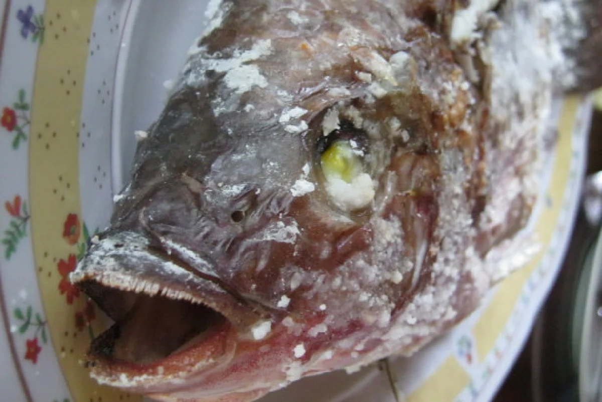 มหัศจรรย์เมืองไทย ตอนหายใจให้เต็มปอด ที่น้ำตกห้วยแม่ขมิ้น