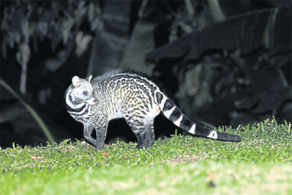 โลกของนกที่แก่งกระจาน