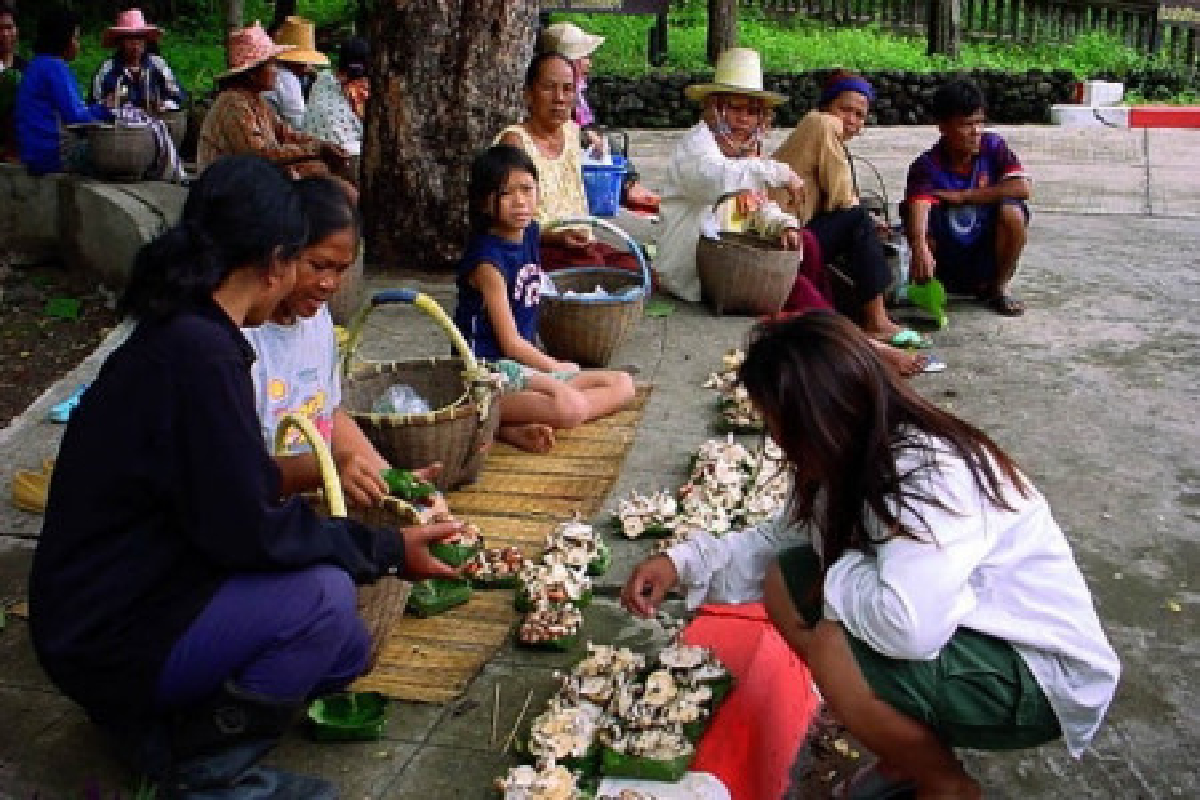 บุรีรัมย์เซ่นเห็ดพิษดับแล้ว1ราย บุรีรัมย์เซ่นเห็ดพิษดับแล้ว1ราย