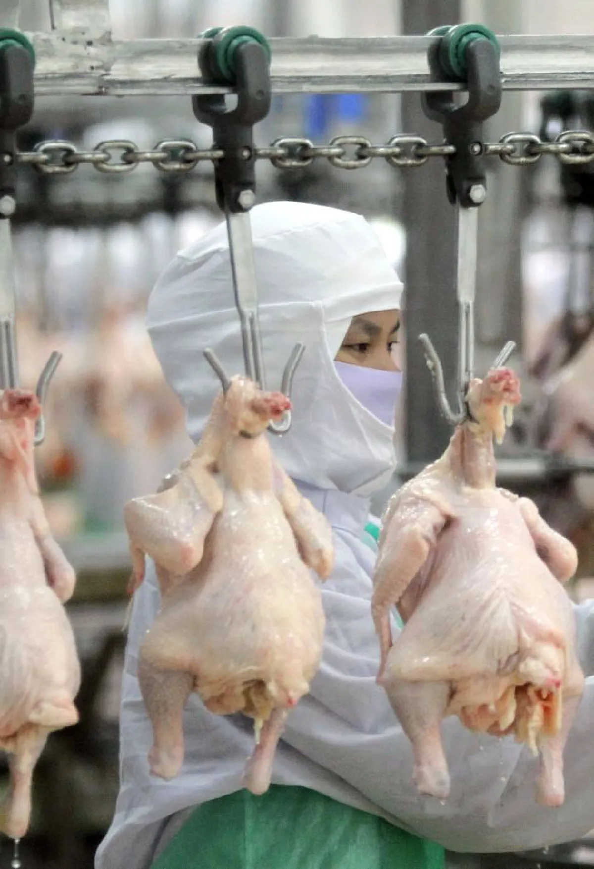 CP Group: Selling Thai products in Vietnam