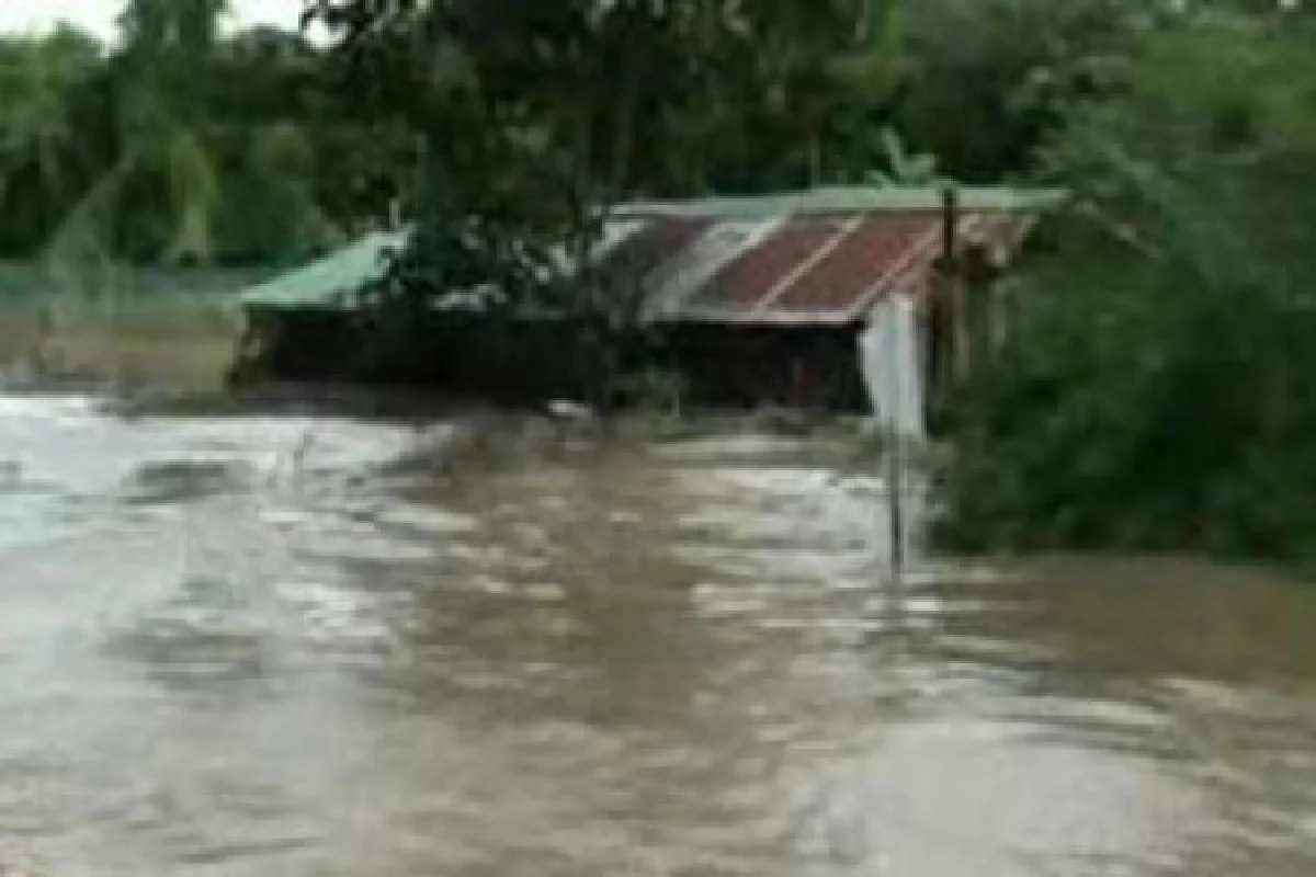 ชลบุรีจมน้ำท่วมแล้ว4อำเภอ